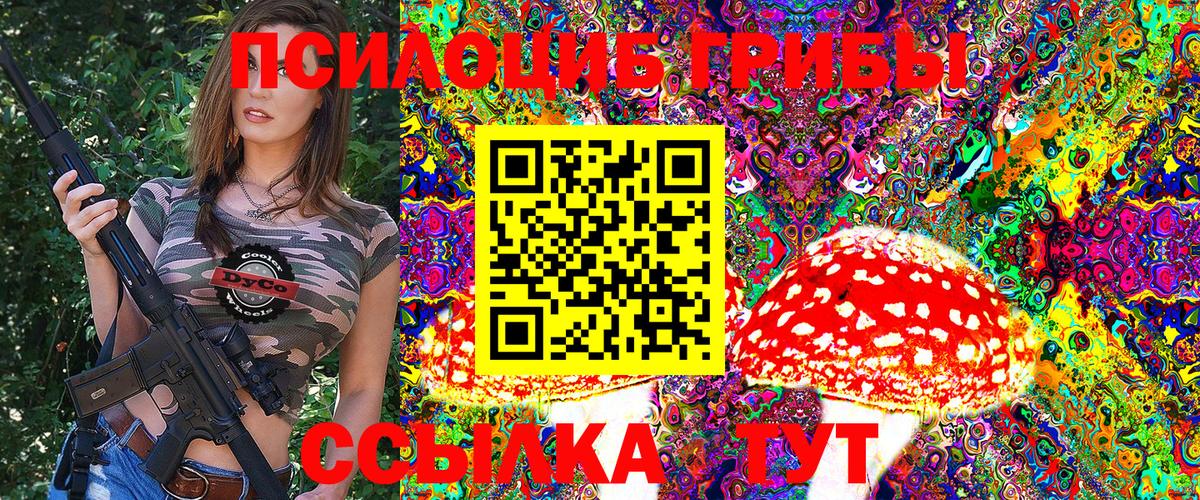 Псилоцибиновые грибы Psilocybine cubensis Прокопьевск